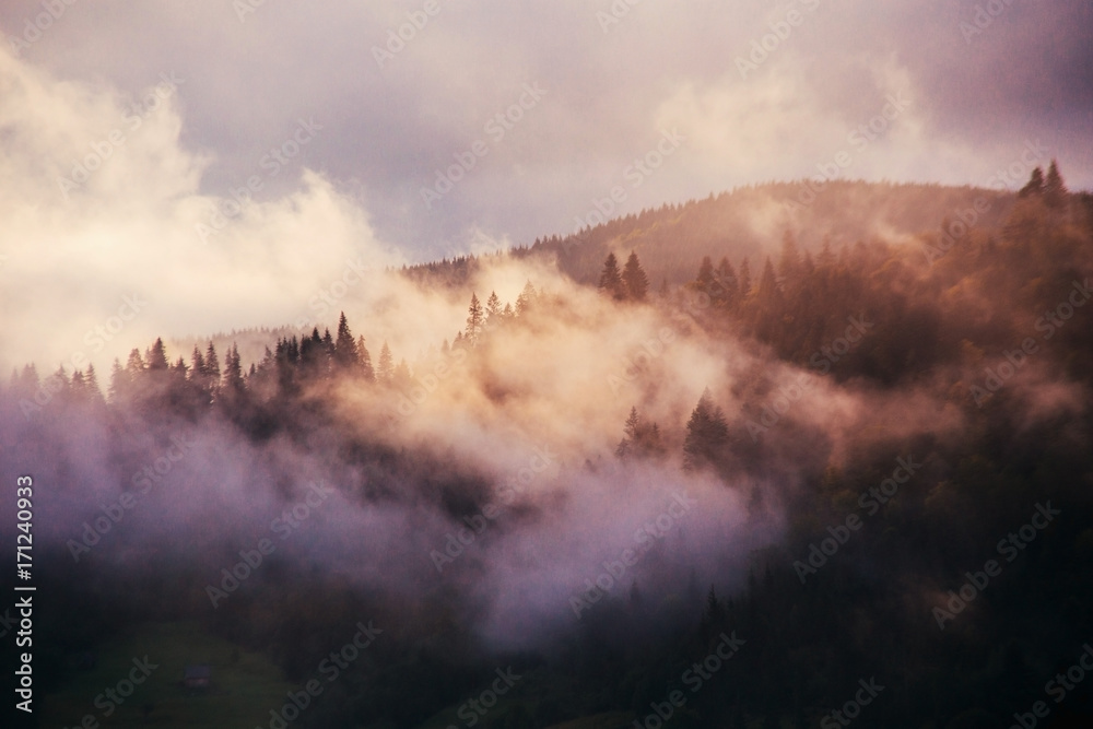 Morning of mist in the mountain