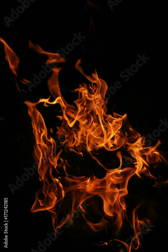 burning birch firewood