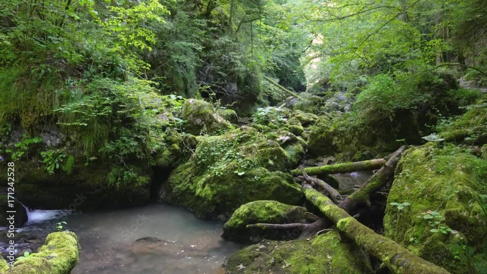 Galbena river in Romania, Apuseni Galbena river in Romania, Apuseni