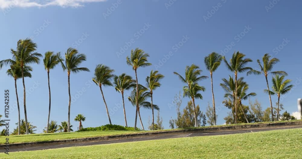Man running. Guy jogging in park living an active summer. Male runner exercising running training on sidewalk, healthy lifestyle. 59.94 FPS. Man running. Guy jogging in park living an active summer. Male runner exercising running training on sidewalk, healthy lifestyle. 59.94 FPS.