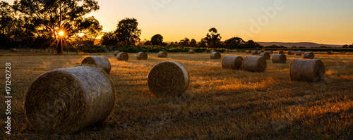 Straw Bales in the Swan Valley of Western Australia photo
