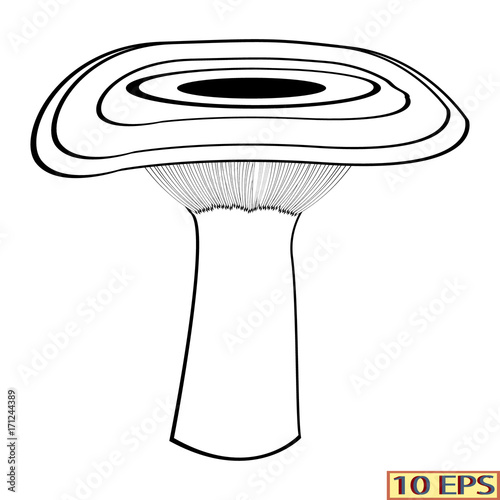 Mushrooms. Black icon. Set mushrooms. Edible fungus. Illustration to culinary sites or cook book. Recipe mushrooms, vegetarian menu, kitchen interior design. Vector illustration.