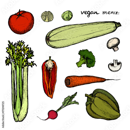 Vegan Menu - set of colored hand-drawn vegetables