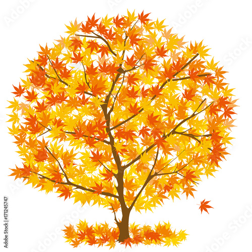 autumn tree with orange and yellow leaves clip art preview