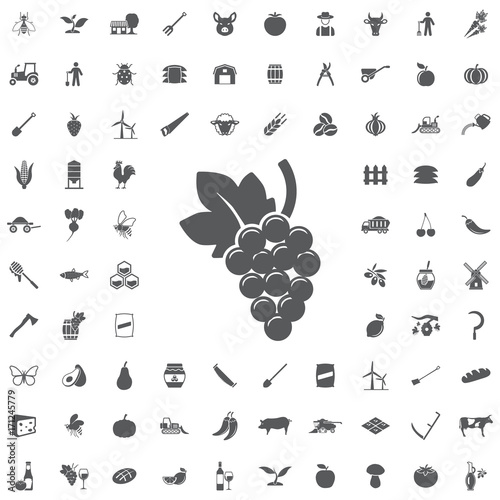 Grape Icon