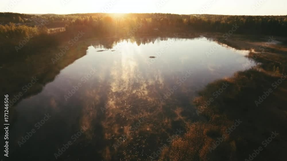 The sun ray seen on the river in Finland with the tall pine trees on the side in the forest