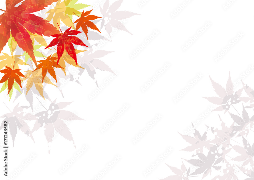 紅葉の背景 秋のイメージの背景 縦 飾り枠 モミジのイラスト 背景 Background Of The Image Of Autumn Ilustracion De Stock Adobe Stock