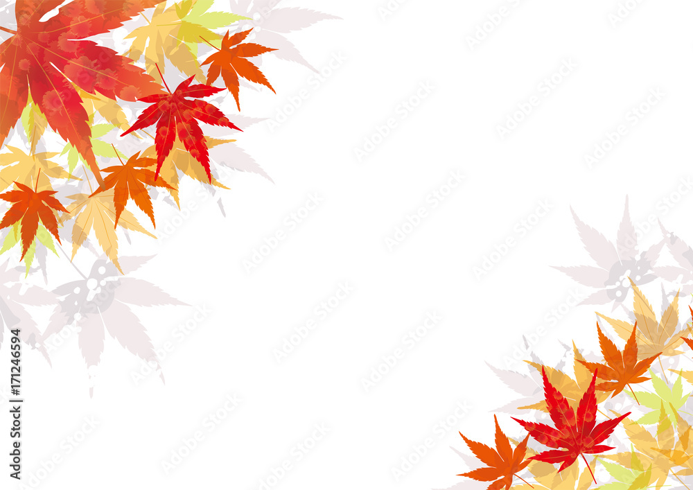 紅葉の背景 秋のイメージの背景 縦 飾り枠 モミジのイラスト 背景 Background Of The Image Of Autumn Stock Illustration Adobe Stock