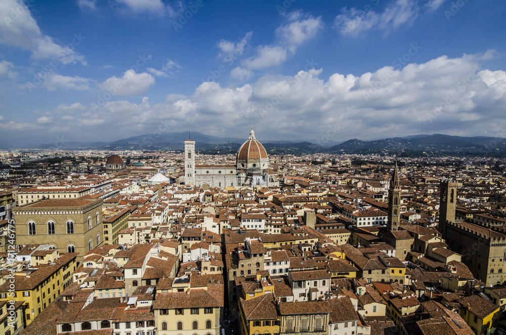 Panoramic of the city of florence and Tuscan mountains