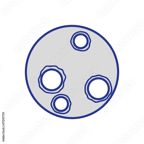 beauty moon natural satellite of the earth planet vector illustration