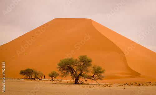 desert dunes  Sossusvlei