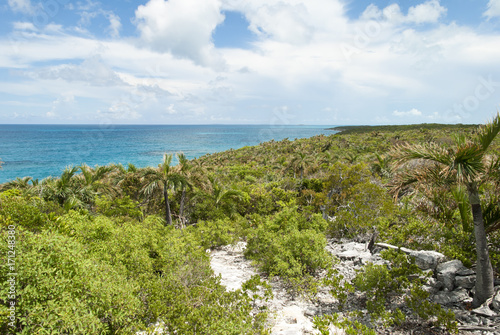 Caribbean Island Landscape