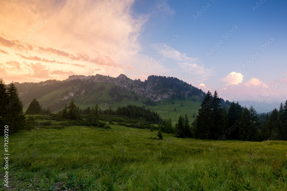 Bavarian Alps with mountain view and meadows in the Allgau