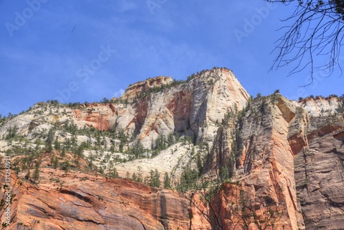 Walls of Zion Canyon From the Temple of Sinawava