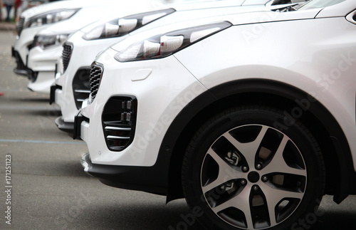 Принти на полотні White cars staying in line free stock image
