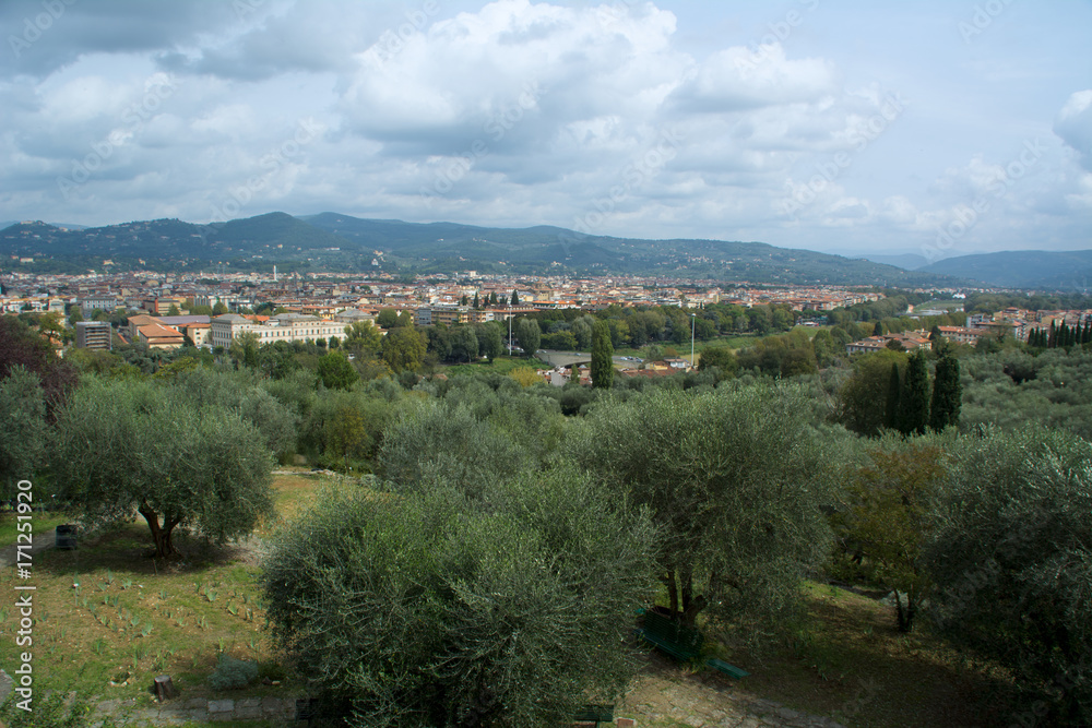 Fototapeta premium panorama of the city of florence, domes of the renaissance