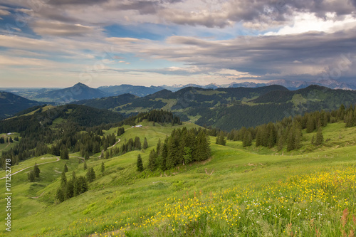 Bavarian Alps with mountain view and meadows in the Allgau © Thorsten Link