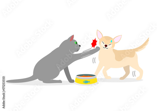 cat punching dog to protect its food