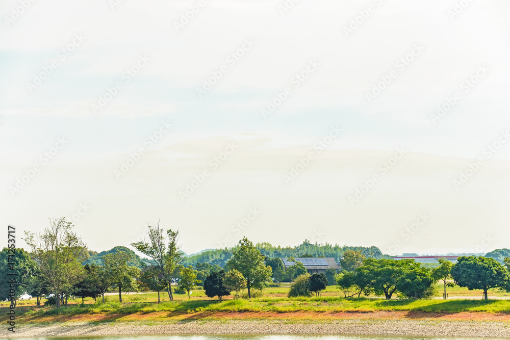 Fototapeta premium 兵庫県・池沼、加古大池ウオーキング