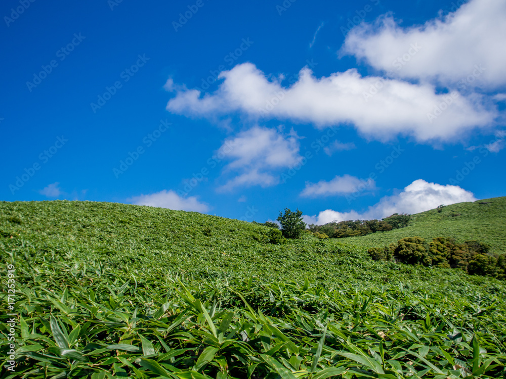 西伊豆スカイラインからの風景