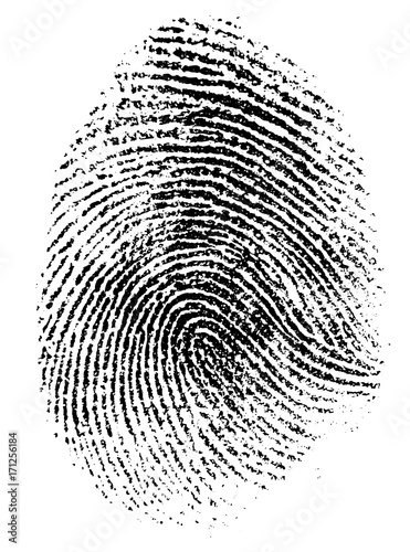 fingerprint vector illustration