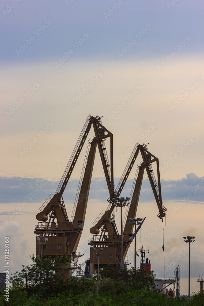 Silhouette of cranes in the sea-port