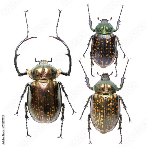 500_F_171257515_434jLErBs9EKRu