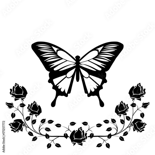 butterfly with flourishes photo