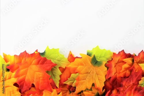 An Image of autumn leaves - background