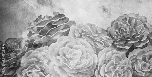 black and white roses in hand painted watercolor background design, romantic mood for wedding announcement or valentines day