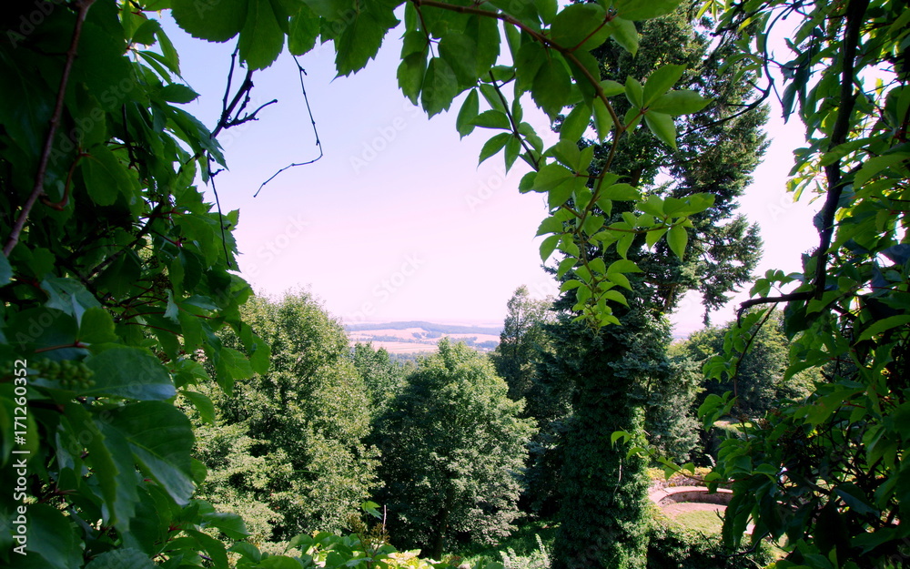 Widok z murów zamku Grodziec - zielone okno na Świat - obrazy, fototapety, plakaty 