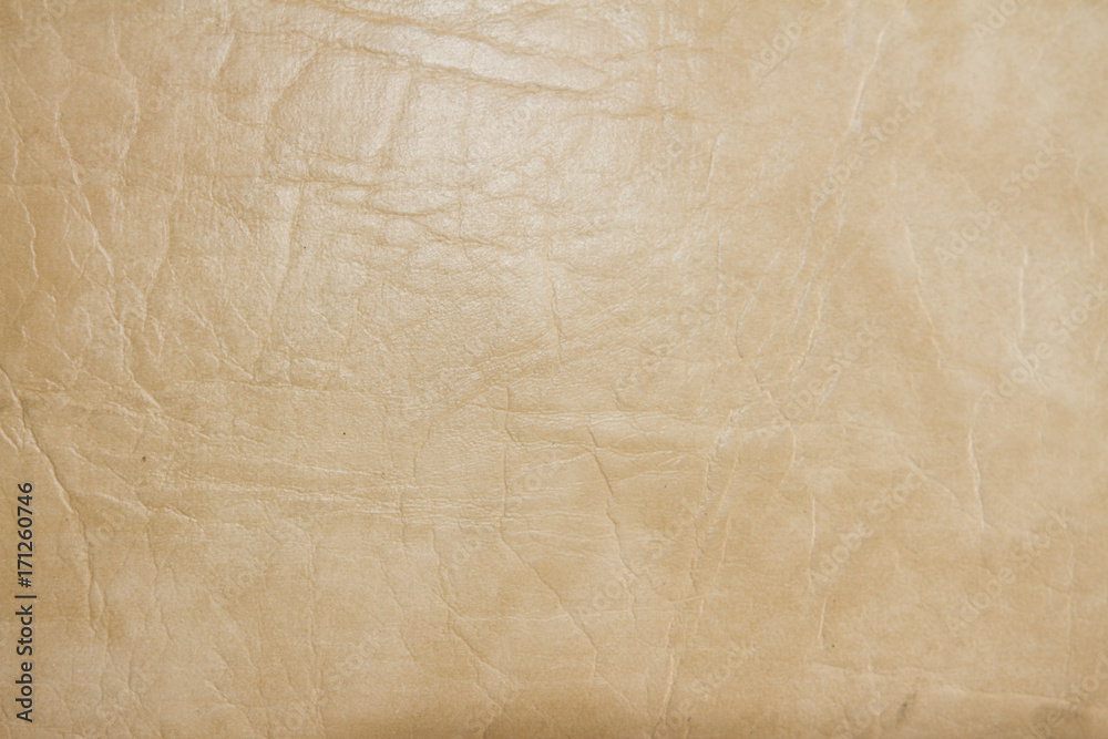 Obraz premium light leather
