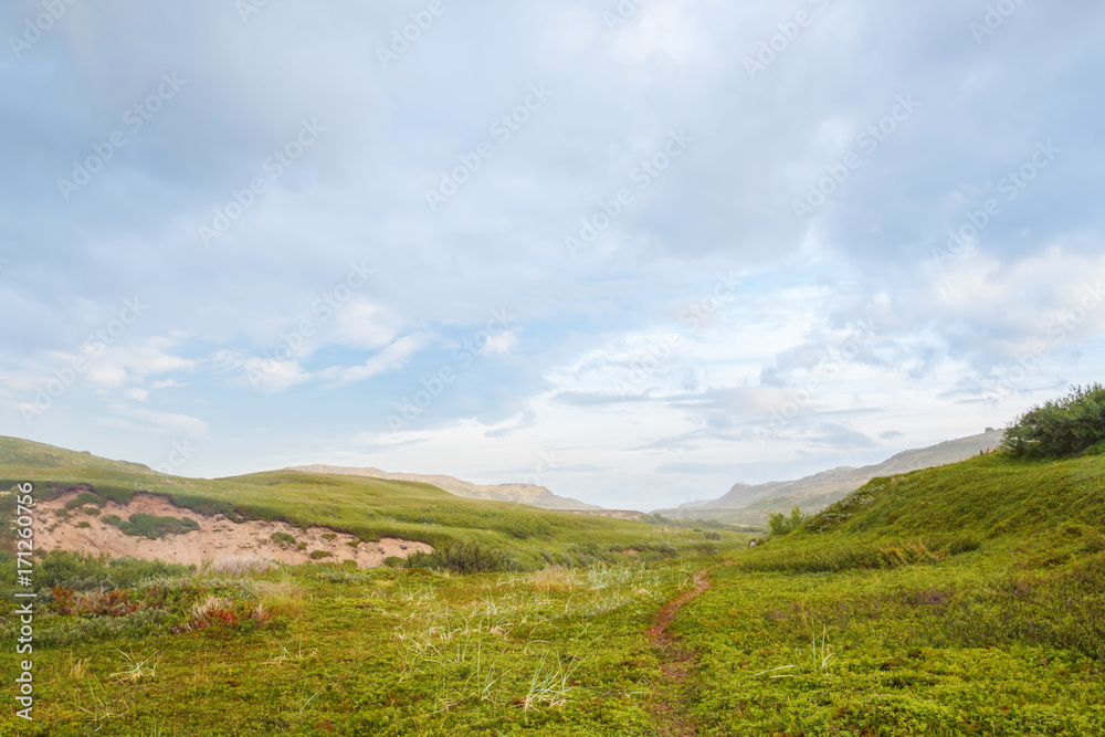 A trail along the green valley of the tundra in the north of Russia
