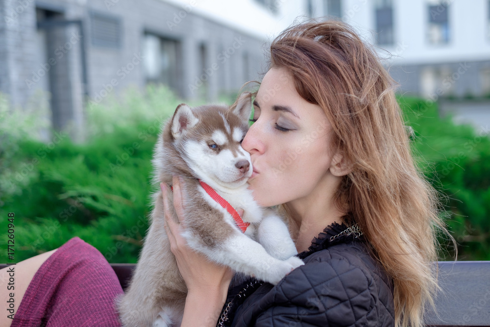 Little pretty husky puppy outdoor in womans hands Little pretty husky puppy outdoor in womans hands