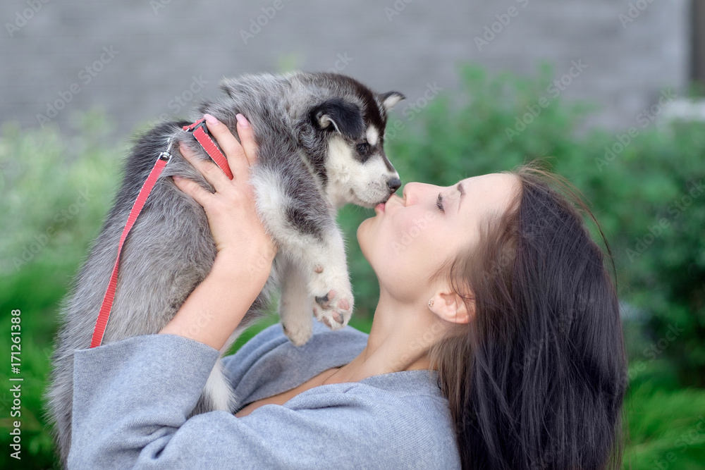 Smiling woman holding cute husky puppy Smiling woman holding cute husky puppy