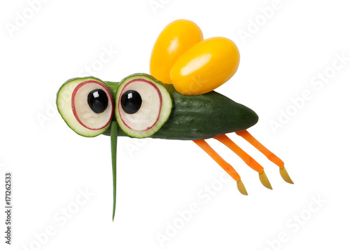 Fly made of cucumber and carrot on isolated background