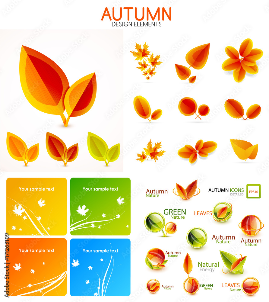 Fototapeta premium Vector orange and yellow autumn seasonal leaves, trees concepts