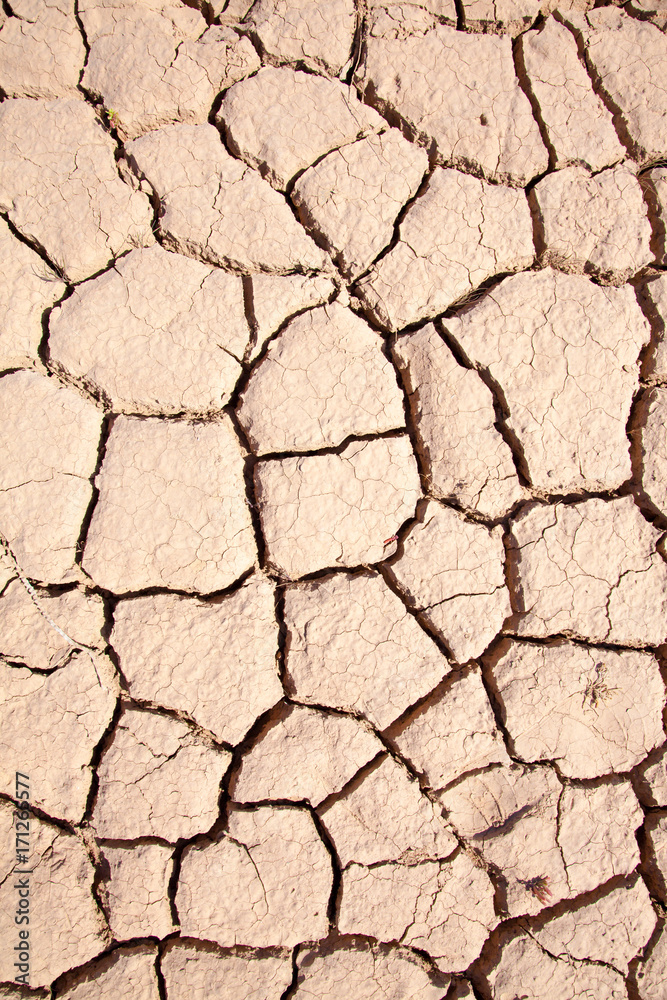 cracked earth cracked earth