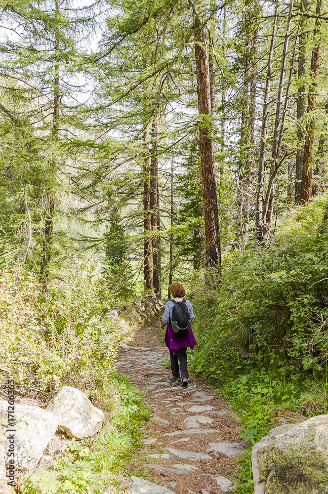 Zermatt, Zmutt, Furi, Wanderweg, Waldweg, Lärchenwald, Wanderer, Alpen, Wallis, Herbst, Herbstwanderung, Schweizer Berge, Schweiz