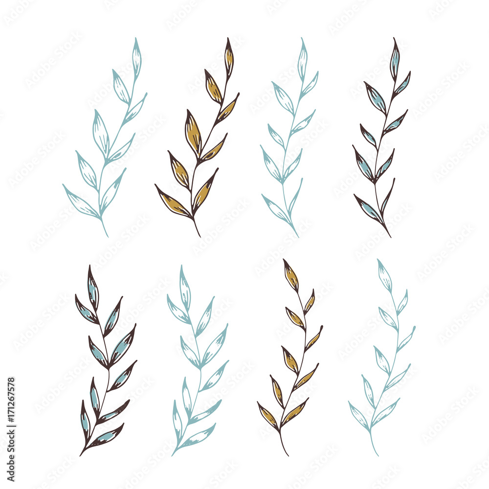 Vector Christmas floral element