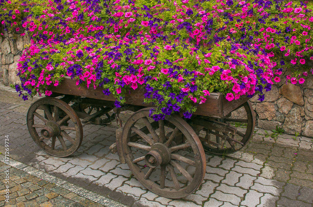Carro di legno con fiori nel centro di Livigno, Lombardia