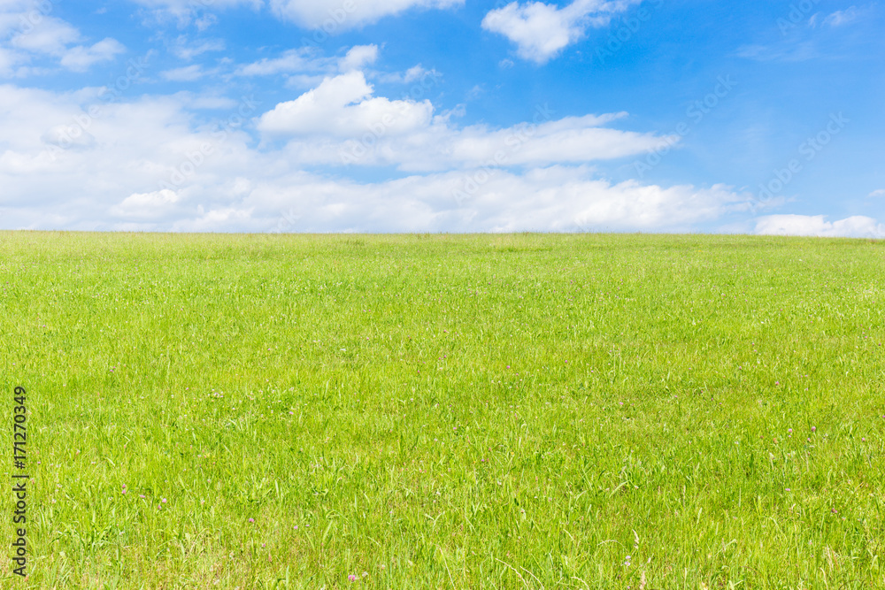 green field and blue sky with light clouds green field and blue sky with light clouds