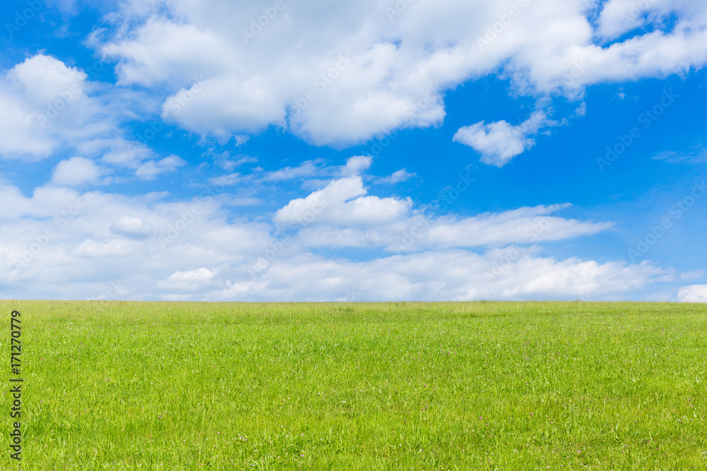 green field and blue sky with light clouds green field and blue sky with light clouds