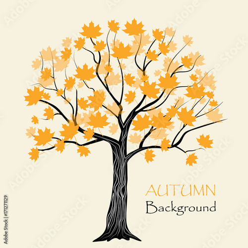 Autumn maple tree