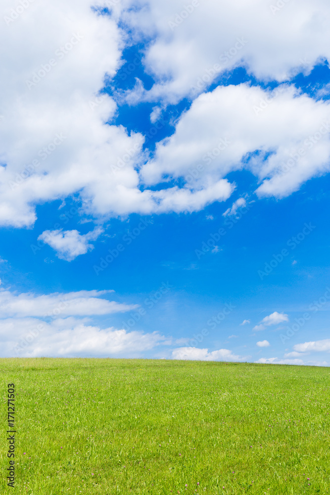 green field and blue sky with light clouds