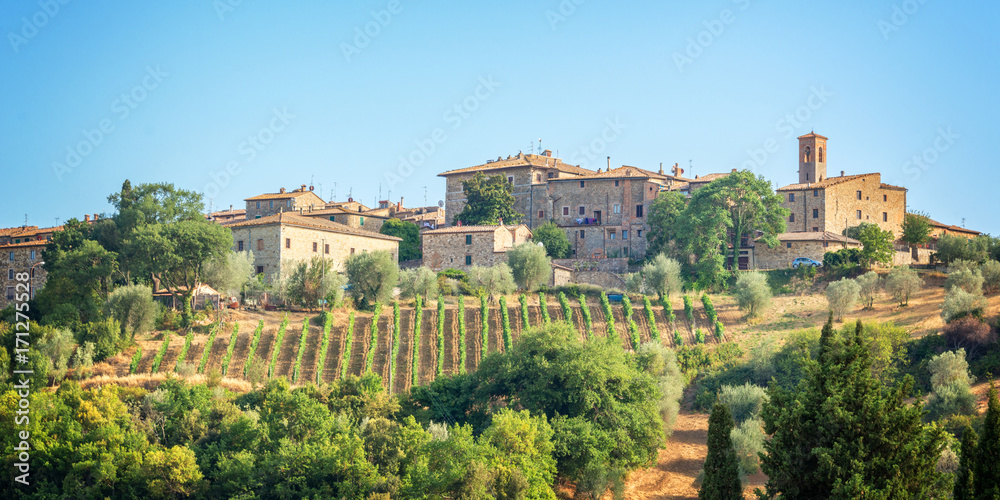 Vineyard and village of Montalcino, Tuscany, Italy