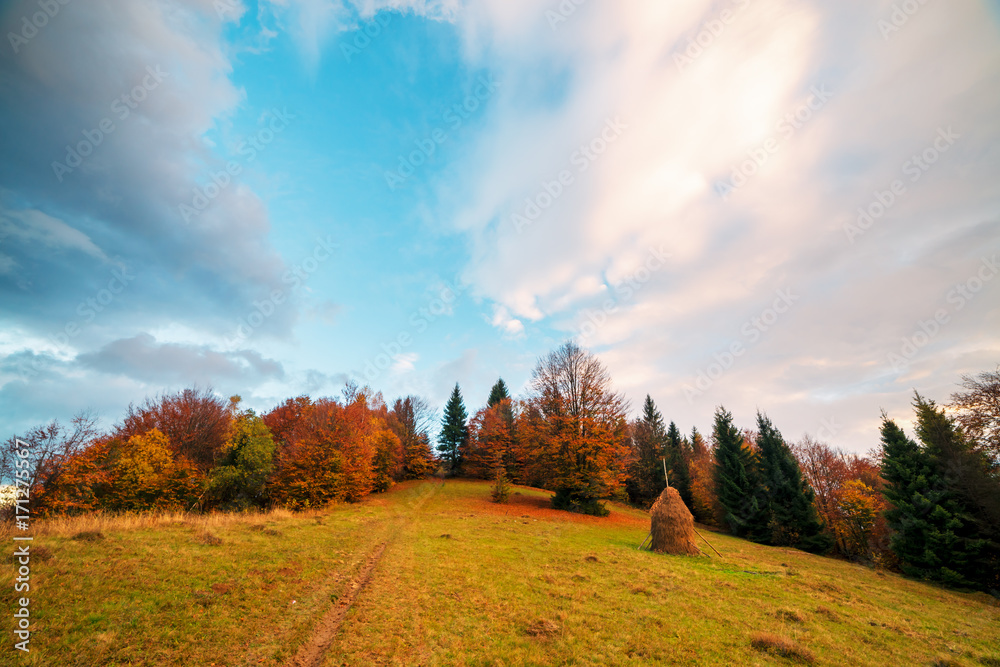 Fototapeta premium Amazing rural scene on autumn valley