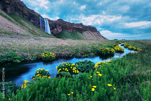 Fototapeta Naklejka Na Ścianę i Meble -  Sunrise on Seljalandfoss waterfall