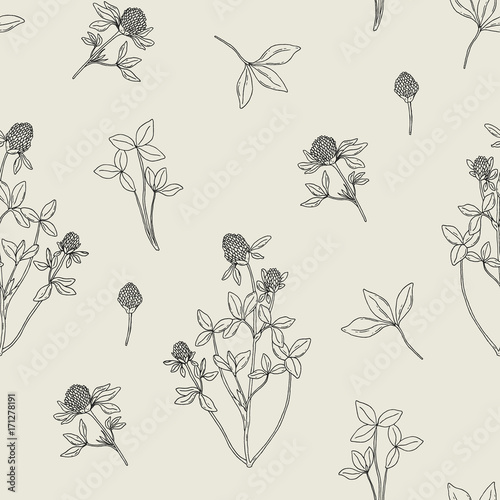 Beautiful floral seamless pattern with red clover on light background. Meadow...