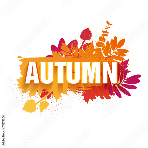 Template for the design of a horizontal banner for the autumn season. Sign with text fall on a red background with a decor of a silhouette of maple leaves and oak. The natural label. Vector.